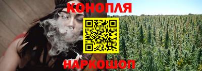 крисы Татарск