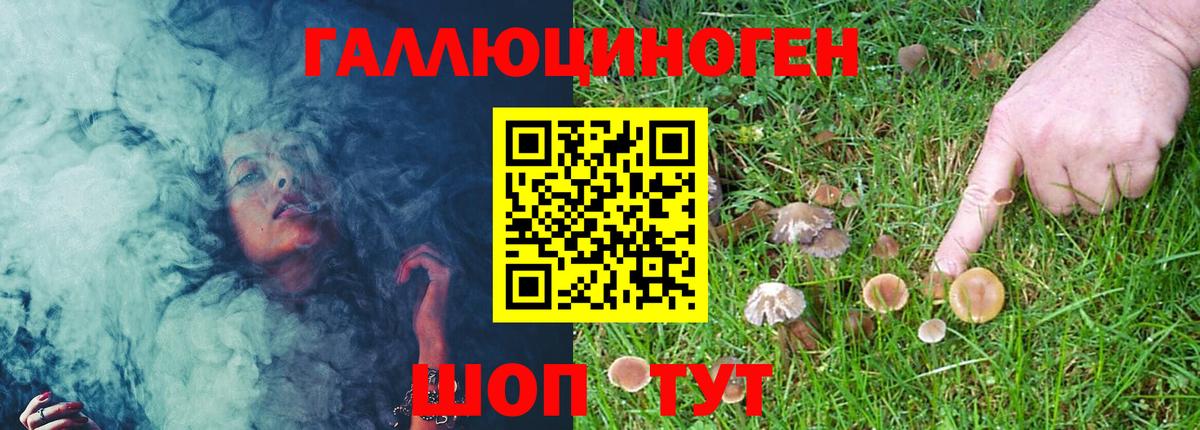 Псилоцибиновые грибы MAGIC MUSHROOMS  Галлюциногенные грибы прущие грибы  Артём  Вход с VPN 